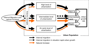 Urbanization and Internal Migration