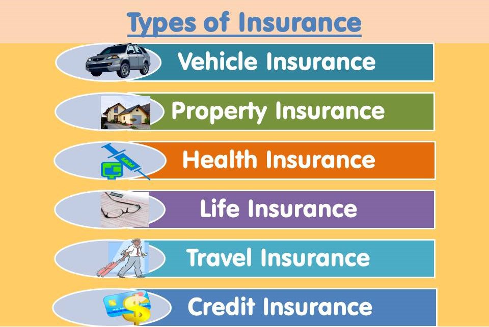 Types of Insurance Offered