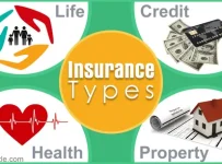 What is the insurance system in Brazil